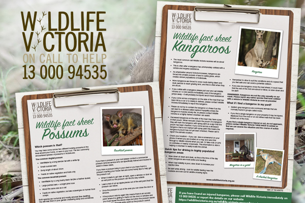 Wildlife Victoria fact sheets 