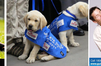 Guide Dogs Victoria– Our fave!