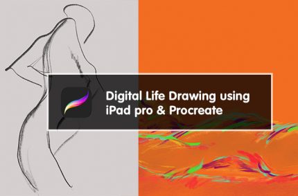 Digital Life Drawing using Procreate at Lamington Drive / Jacky Winter HQ